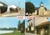 72 Sarthe / CPSM FRANCE 72 "Joué l'Abbé"