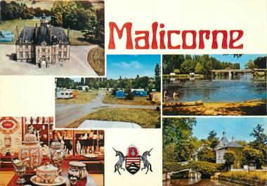 / CPSM FRANCE 72 "Malicorne sur Sarthe"