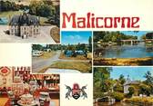 72 Sarthe / CPSM FRANCE 72 "Malicorne sur Sarthe"