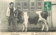 56 Morbihan / CPA FRANCE 56 "Pontivy, Bot Vétérinaire" / VACHE