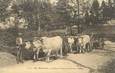 / CPA FRANCE 58 "Edsa, attelage de boeufs Nivernais"