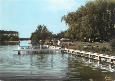 / CPSM FRANCE 72 "Pincé, la piscine"