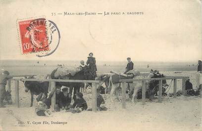 / CPA FRANCE 59 "Malo Les Bains, le parc à Baudets" / ÂNE