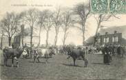 61 Orne / CPA FRANCE 61 "Carrouges, le champ de Foire"