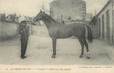 / CPA FRANCE 61 "Haras du Pin, Clamart, étalon pur sang anglais" / CHEVAL