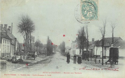 / CPA FRANCE 62 "Auxi Le Château, marché aux bestiaux"