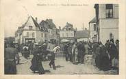 62 Pa De Calai / CPA FRANCE 62 "Hesdin, place du marché aux porcs"