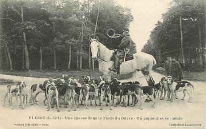 CPA  FRANCE 44 "Plessé, une chasse dans la forêt du Gâvre" / CHASSE A COURRE