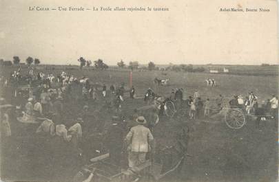 / CPA FRANCE 30 "Le Cailar, une ferrade, la foule allant rejoindre la taureau"