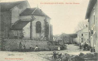 CPA FRANCE 88 "La Chapelle aux Bois, rue des oiseaux"