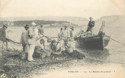 CPA FRANCE 83 "Toulon, la récolte du poisson"