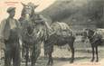 CPA FRANCE 65 "Conducteur de mulets dans les pyrénées" / ANE