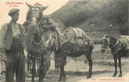 CPA FRANCE 65 "Conducteur de mulets dans les pyrénées" / ANE