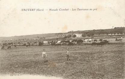 / CPA FRANCE 30 "Vauvert, manade Combet, les taureaux au pré"