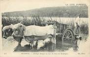 64 PyrÉnÉe Atlantique CPA FRANCE 64 "Biarritz, attelage basque zu Lac du Bois de Boulogne"