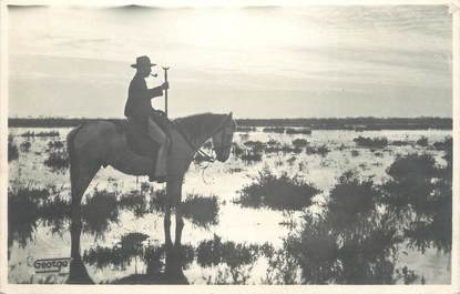 / CARTE PHOTO FRANCE 13 "En Camargue" / CHEVAL