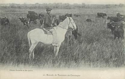 / CPA FRANCE 13 "Manade de Taureaux en Camargue' / CHEVAL