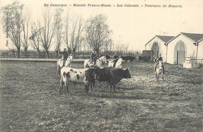 / CPA FRANCE 13 "Manade Franco Russe, les cabanes, taureaux de Réserve"