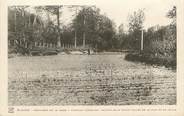 31 Haute Garonne / CPA FRANCE 31 "Blajan, pépinière de la Gesse"