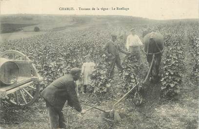 CPA FRANCE 89 "Chablis, travaux de la vigne, le ruellage"