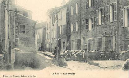 CPA FRANCE 83 "Le Luc, rue Droite"