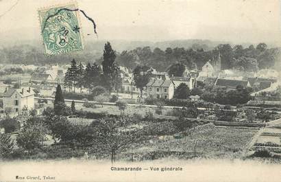 CPA FRANCE 91 "Chamarande, vue générale"