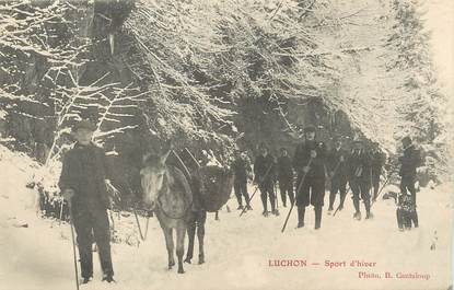 / CPA FRANCE 31 "Luchon, sport d'hiver" / ÂNE