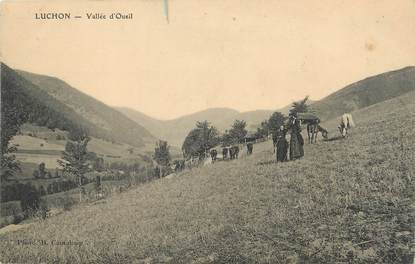 / CPA FRANCE 31 "Luchon, vallée d'Oueil"