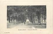 31 Haute Garonne / CPA FRANCE 31 "Salies du Salat, promenade d'Austerlitz"