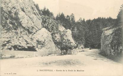 / CPA FRANCE 01 "Hauteville, entrée de la forêt de Mazières"