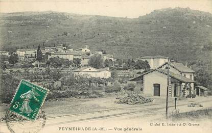 CPA FRANCE 06 "Peymeinade, vue générale"