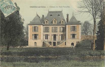 CPA FRANCE 21 "Chatillon sur Seine, chateau du Petit Versailles"