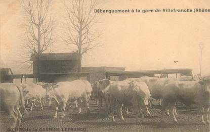 CPA FRANCE 69 "Villefranche, débarquement à la gare, boeufs de la Carnine Lefrancq"