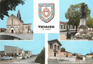/ CPSM FRANCE 85 "Triaize"