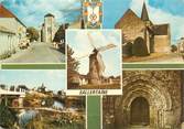 85 Vendee / CPSM FRANCE 85 "Sallertaine"