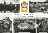 86 Vienne / CPSM FRANCE 86 "Chauvigny et ses environs"