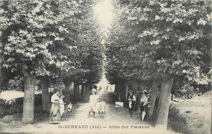 / CPA FRANCE 01 "Saint Bernard, allée des platanes"