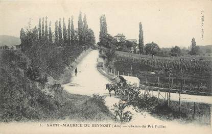 / CPA FRANCE 01 "Saint Maurice de Beynost, chemin du Pré Folliet"