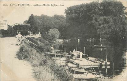 / CPA FRANCE 94 "Bry le Perreux, les iles au moulin de Bry"