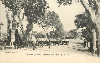 CPA  FRANCE 11 "Sigean, marché aux ânes, Pont Neuf"