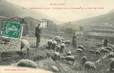 CPA  FRANCE 11 "Lapradelle, pâturages dans la Montagne de la Foret des Fanges"
