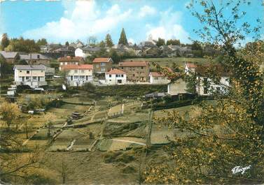 / CPSM FRANCE 87 "Châteauneuf La Forêt, vue générale"