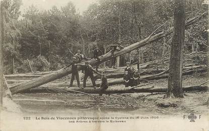 / CPA FRANCE 94 "Les Bois de Vincennes après le cyclone du 16 juin 1908"