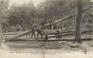 94 Val De Marne / CPA FRANCE 94 "Les Bois de Vincennes après le cyclone du 16 juin 1908"