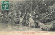 94 Val De Marne / CPA FRANCE 94 "Bois de Vincennes, cyclone du 16 juin 1908, rivière des jeux de boules"