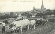 71 SaÔne Et Loire CPA FRANCE 71 "Autun, Boeufs au Labour"