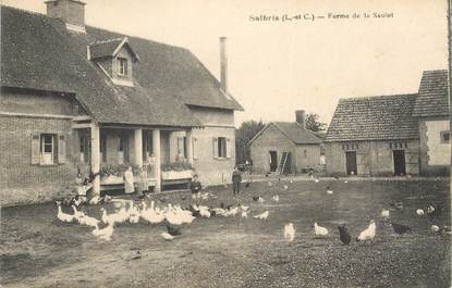 CPA FRANCE 41 "Salbris, ferme de la Saulot"