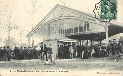 CPA FRANCE 41 "La Motte Beuvron, marché aux Veaux"