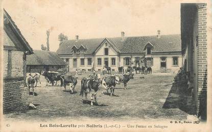 CPA FRANCE 41 "Les Bois Lurette près de Salbris, une ferme en Sologne"