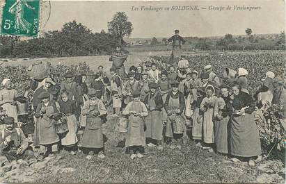 CPA FRANCE 41 "Les Vendanges en Sologne, groupe de vendangeurs"